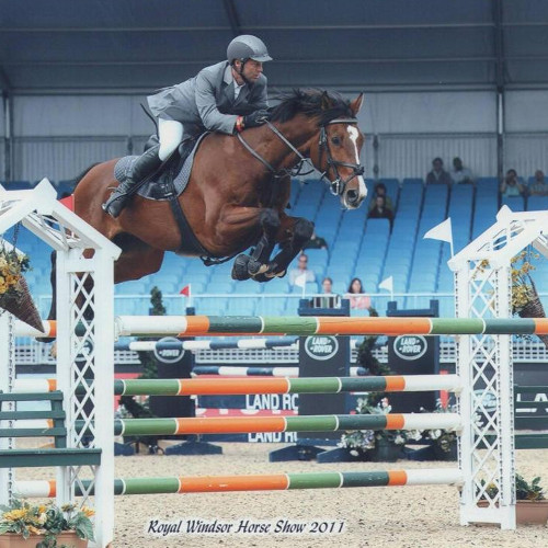 Jonti ‐ bought as a 4yr old , qualified HOYS Newcomers final in 2010, sold as a 7yr old jumping 140cm.