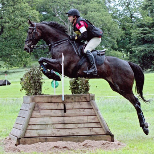Konrad ‐ bought as a companion foal, completed clear at Gatcombe 3 star as a 6 year old.